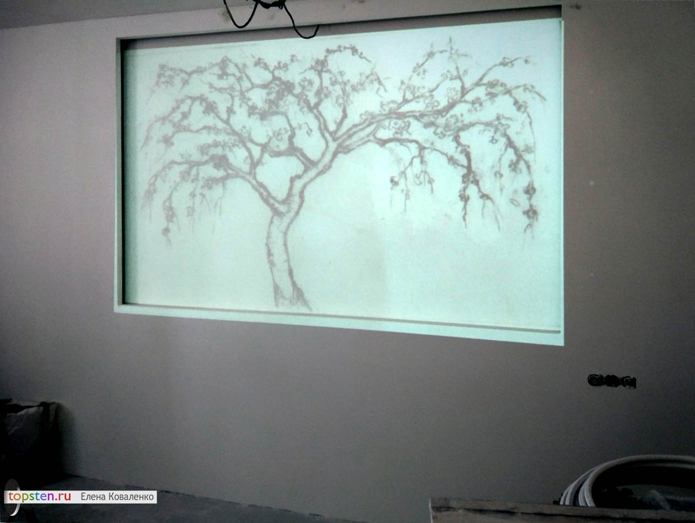 Рисунок лепнины спроецирован проектором на нишу в стене